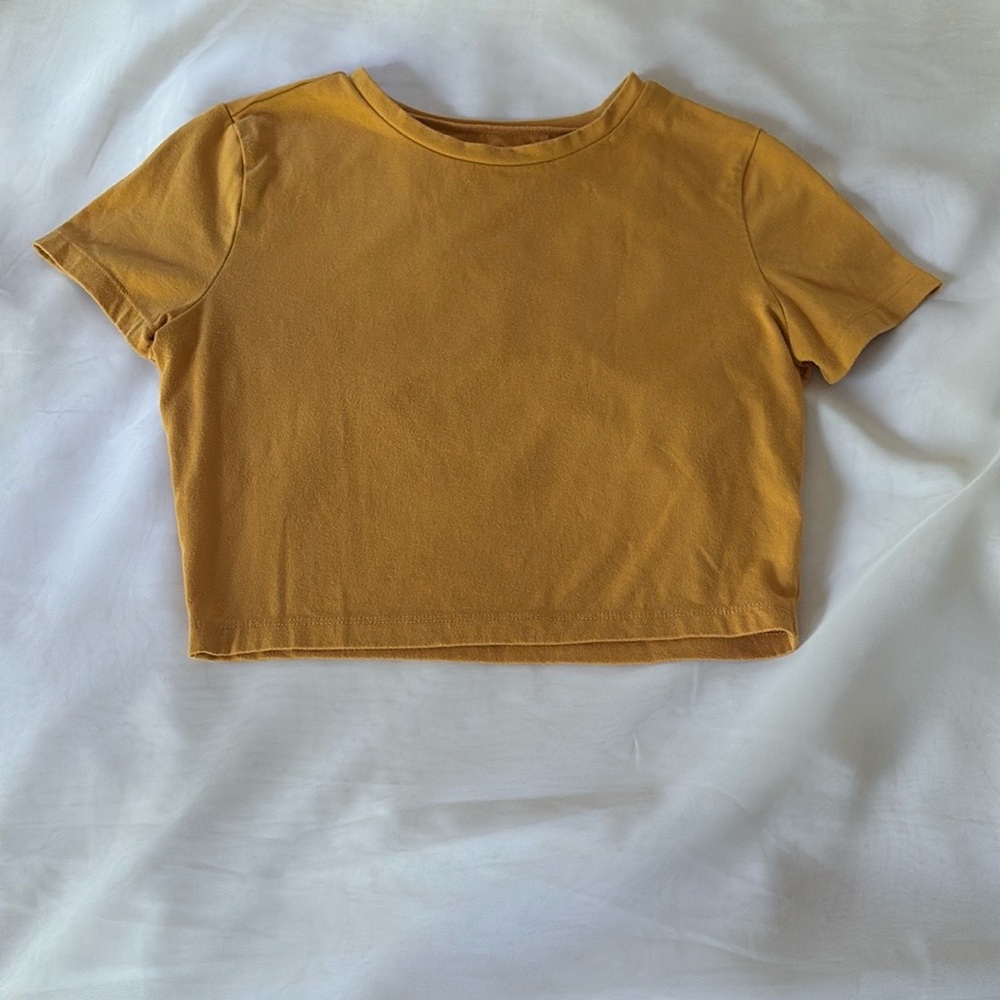 Wild Fable - Target - Cropped Form Fitting Tee Size M